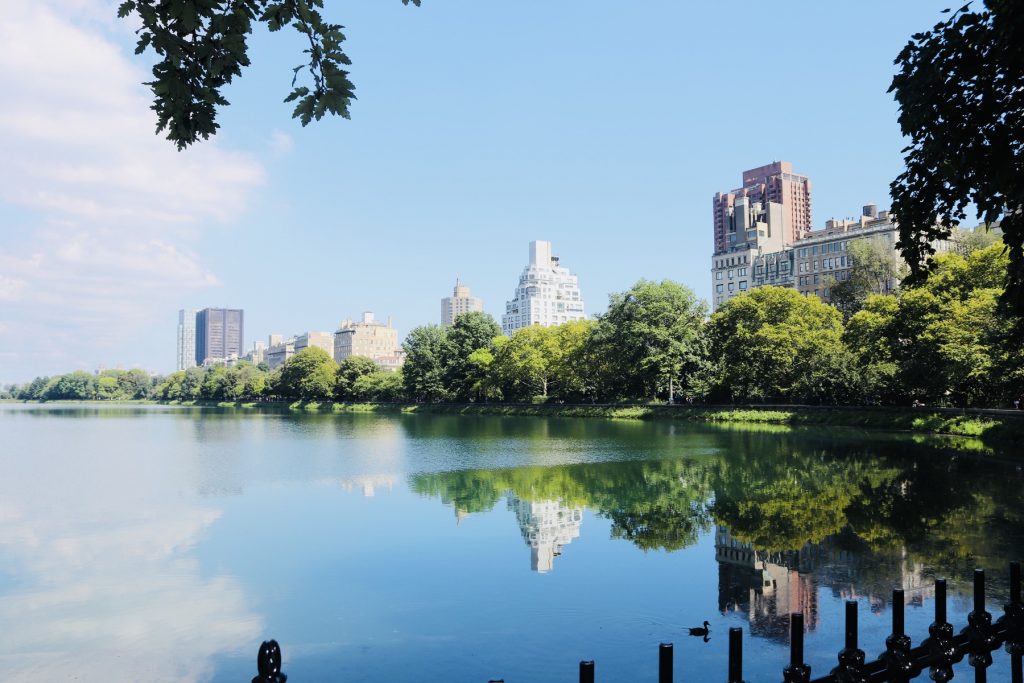 Central Park - Reservoir See