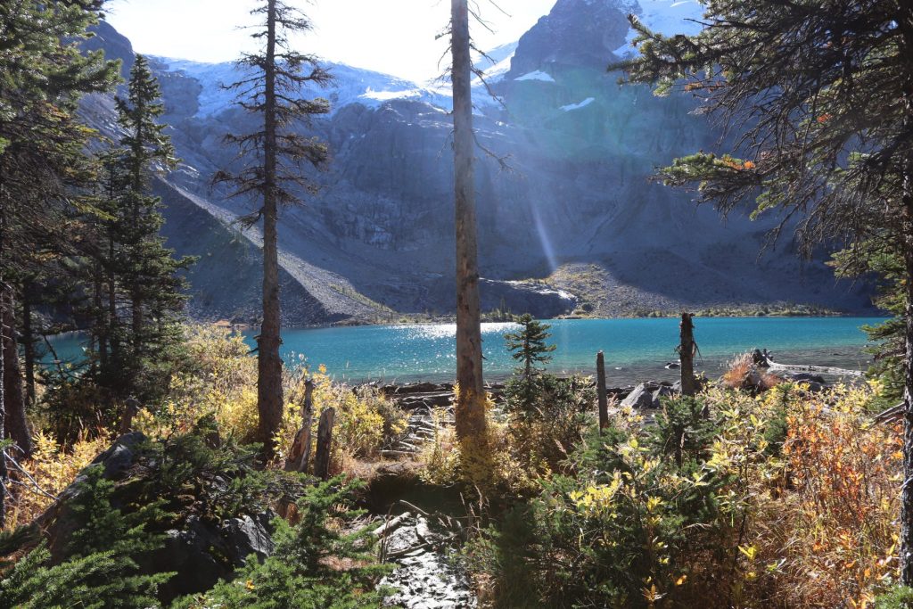 Joffre Middle Lake