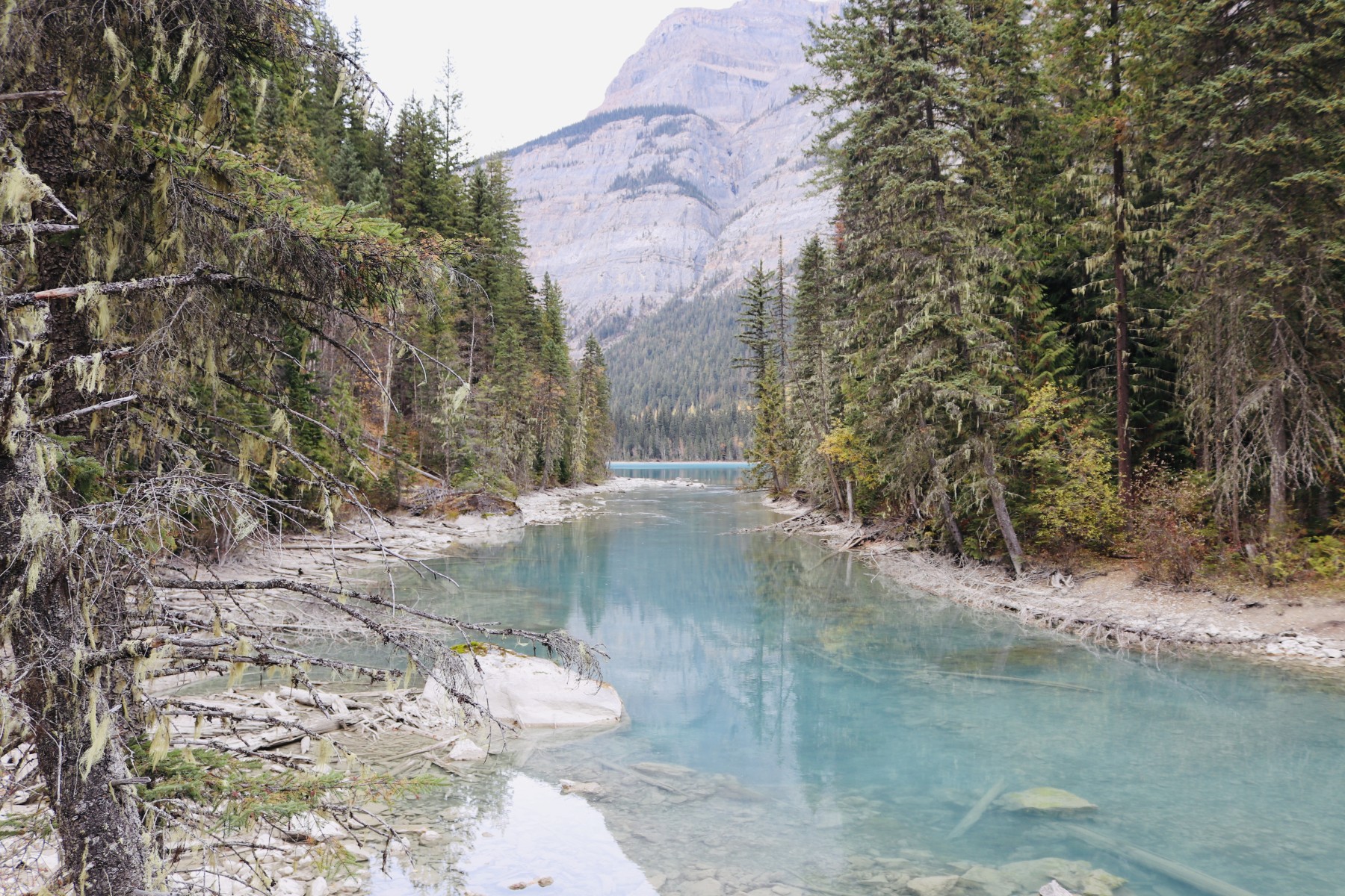 Weg zum Kenney Lake