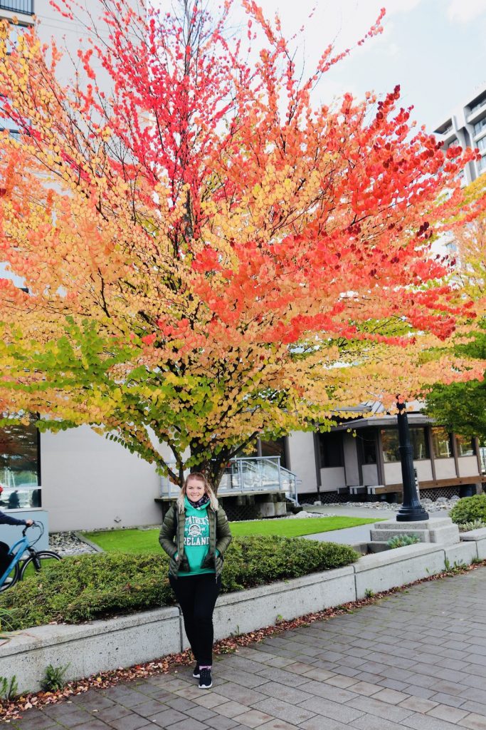 Indian Summer in Vancouver