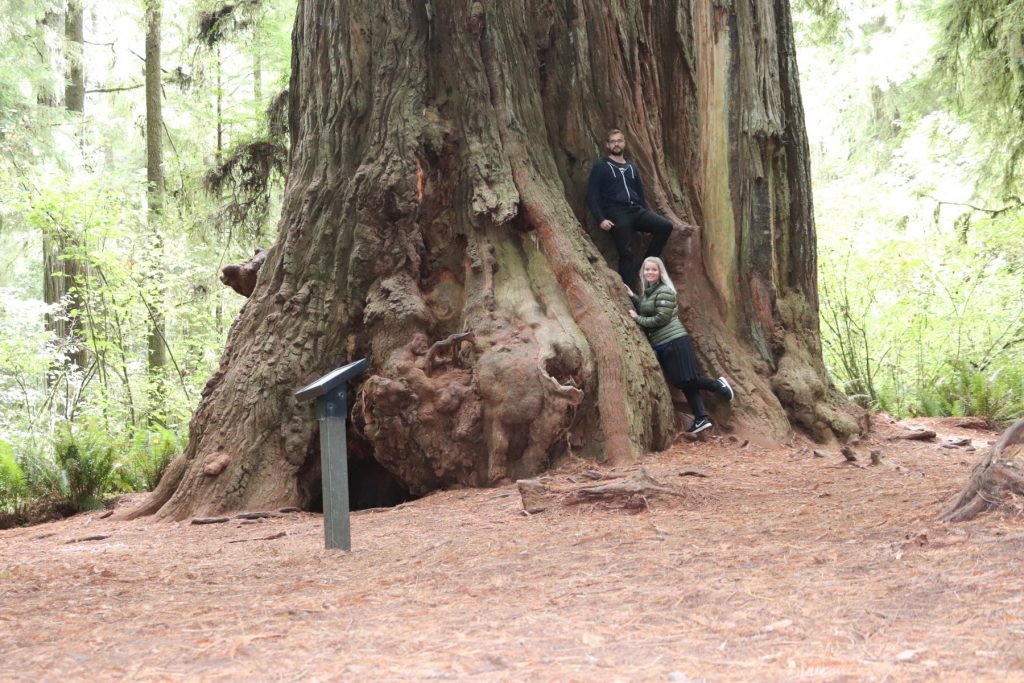 Jedediah State Park