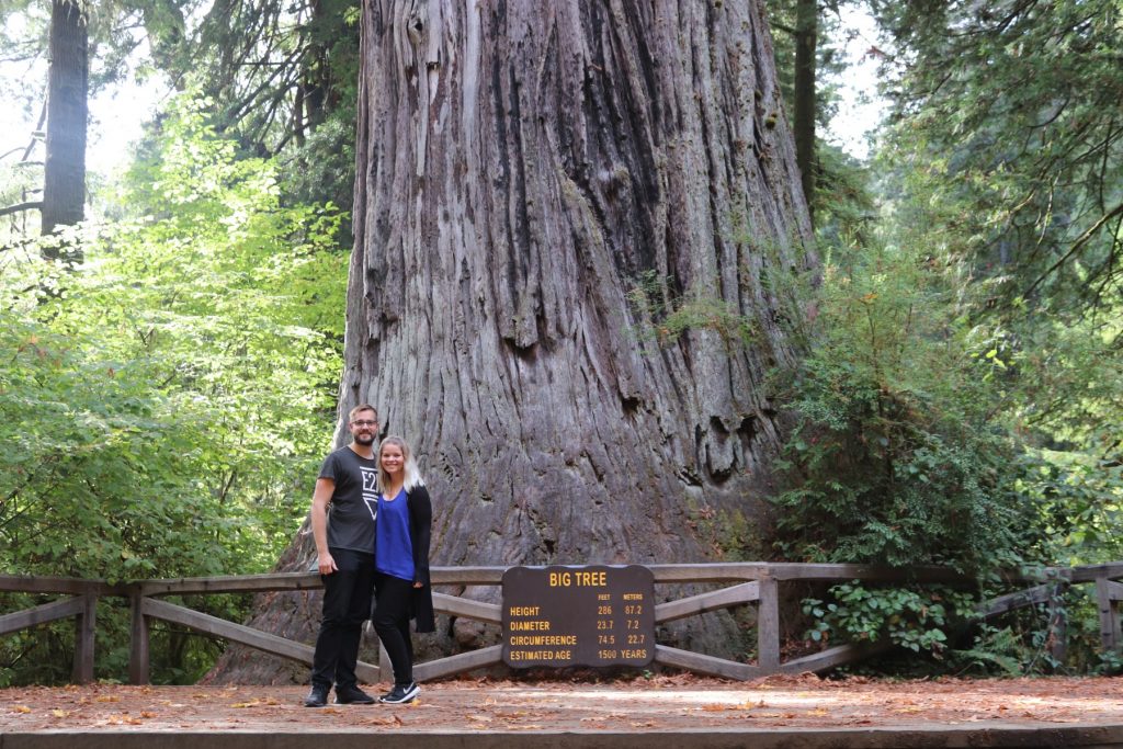 Redwoods State Park