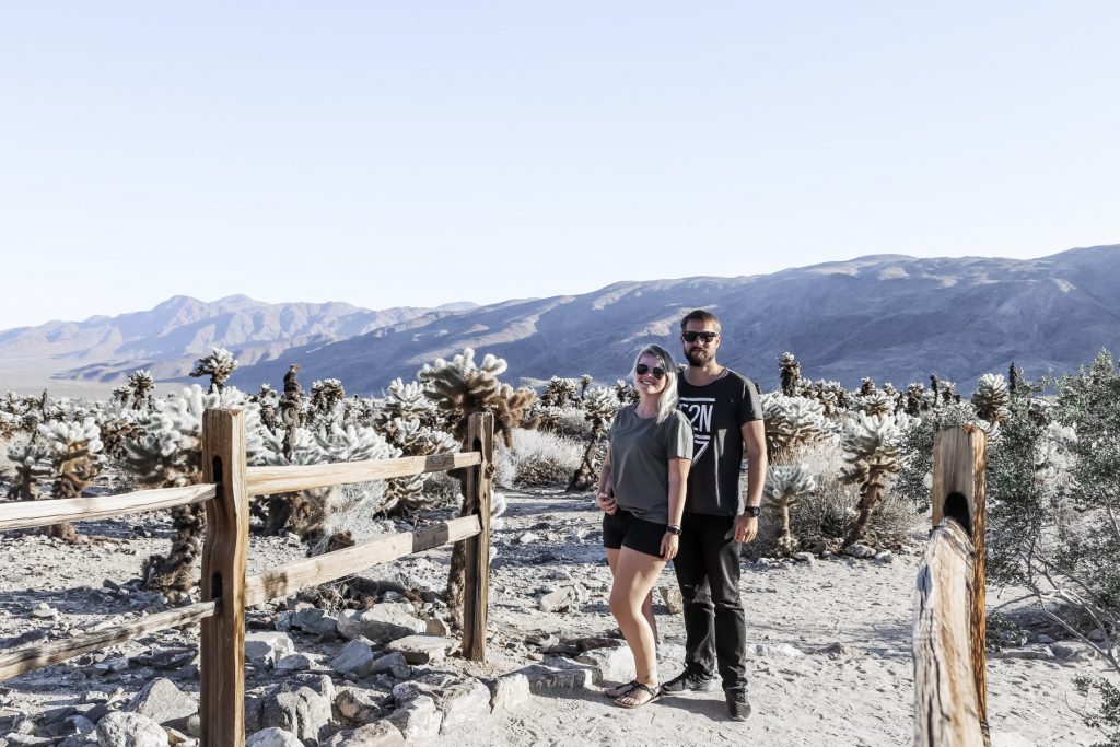 Joshua Tree Nationalpark