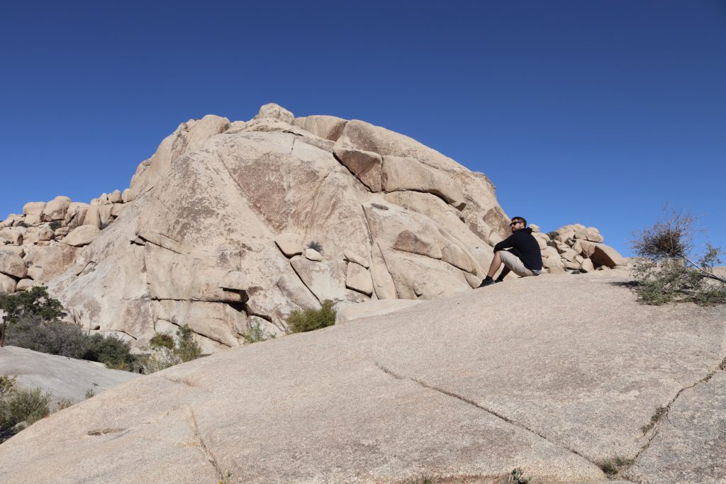 Joshua Tree Nationalpark